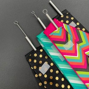Four Stainless Steel Straws, Brushes & Pouches